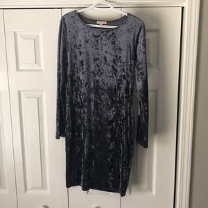 Gianni Bini Velvet Dress!